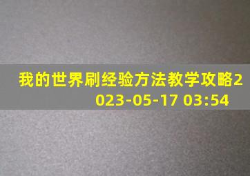 我的世界刷经验方法教学攻略2023-05-17 03:54